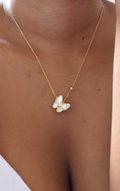 Collier Papillon Nacré.